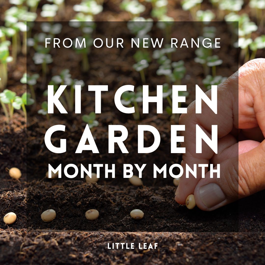 February | Kitchen Garden Month by Month | 5 Organic Veg Seeds to Sow in February