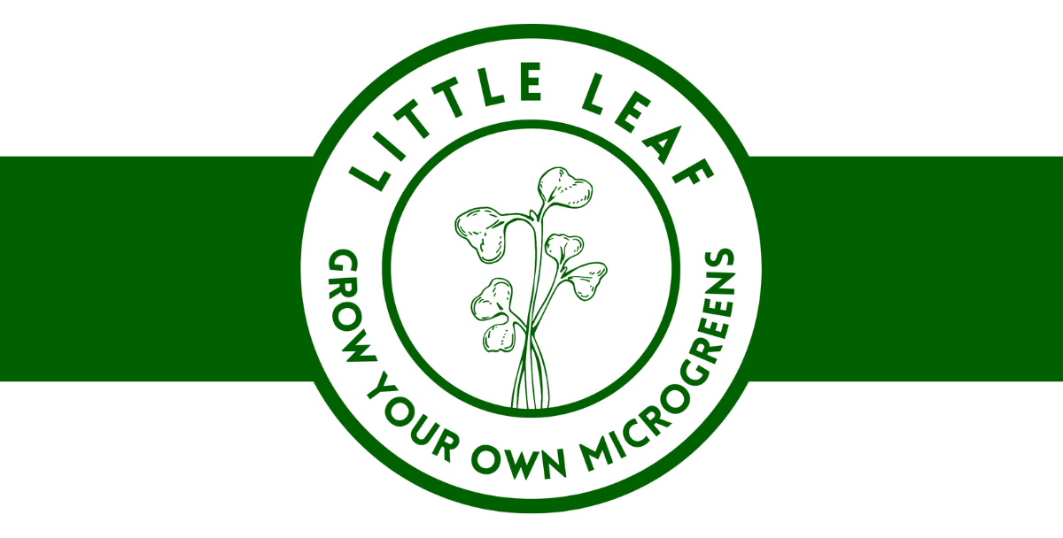 All About Microgreens LITTLE LEAF