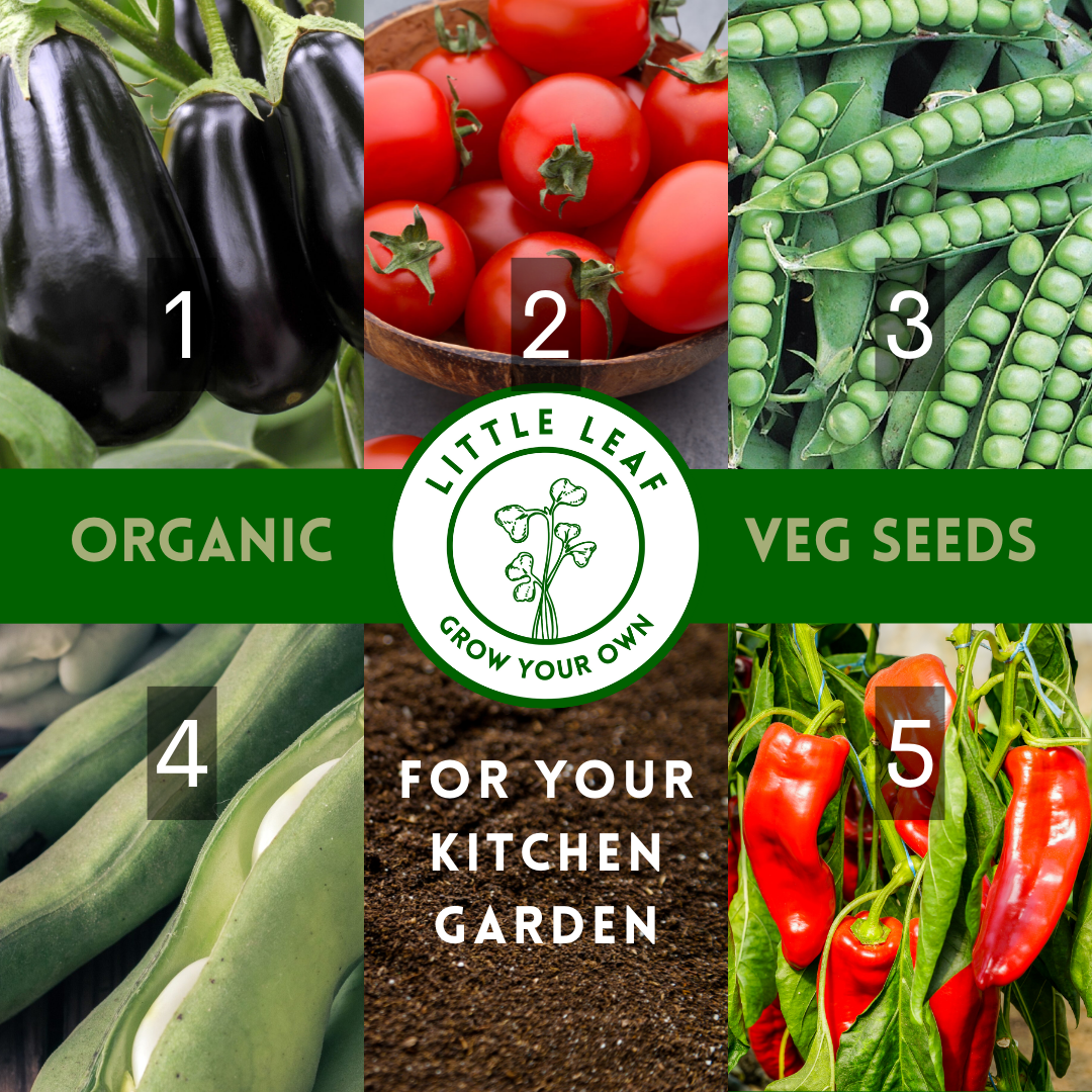 Organic Vegetable Seeds - Choose From 40 Curated Varieties for your Kitchen Garden