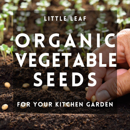 Organic Vegetable Seeds - Choose From 40 Curated Varieties for your Kitchen Garden