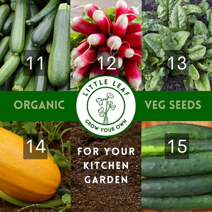 Organic Vegetable Seeds - Choose From 40 Curated Varieties for your Kitchen Garden