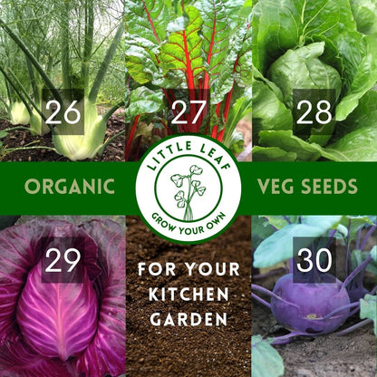 Organic Vegetable Seeds - Choose From 40 Curated Varieties for your Kitchen Garden