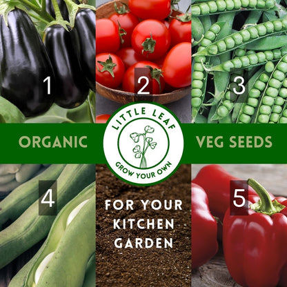 Organic Vegetable Seeds - Choose From 40 Curated Varieties for your Kitchen Garden