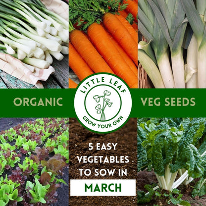 March | Kitchen Garden Month by Month | 5 Organic Veg Seeds to Sow in March