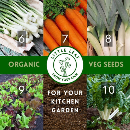 Organic Vegetable Seeds - Choose From 40 Curated Varieties for your Kitchen Garden