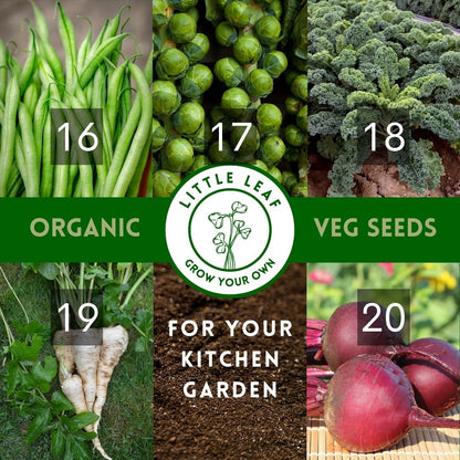 Organic Vegetable Seeds - Choose From 40 Curated Varieties for your Kitchen Garden