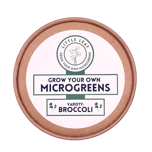 Grow Your Own Microgreens Starter Kit (Single Use, Compostable)