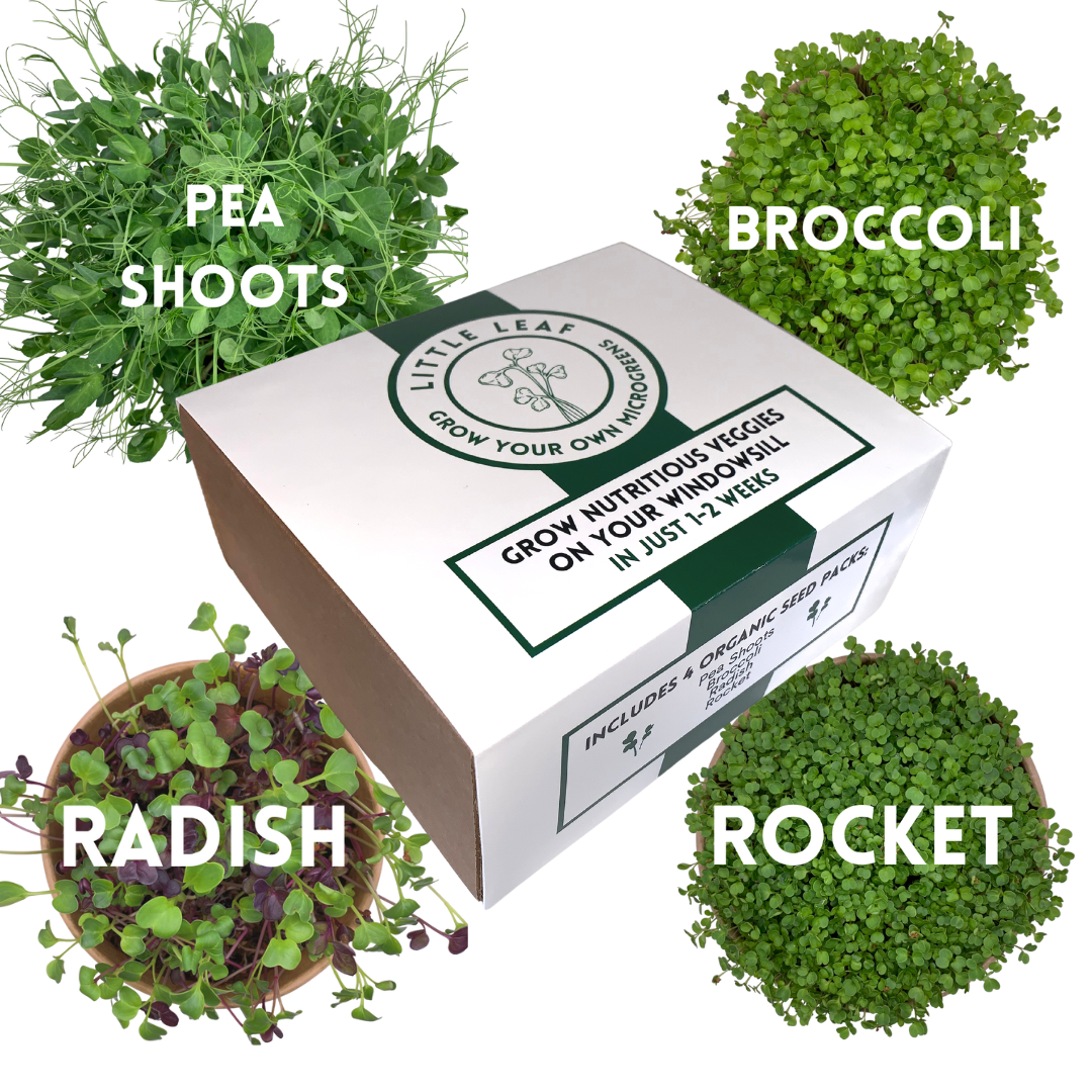 Reusable Microgreens Growing Kit with 4 sets of seeds & coir