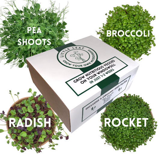 Reusable Microgreens Growing Kit with 4 sets of seeds & coir
